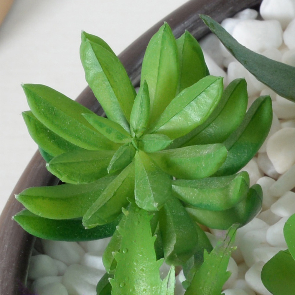 Succulent Arrangement Mini - プラスチック製のミニ盆栽風多肉植物アレンジメント。室内、自宅、オフィスの装飾やスタイリングに最適。手入れ不要。