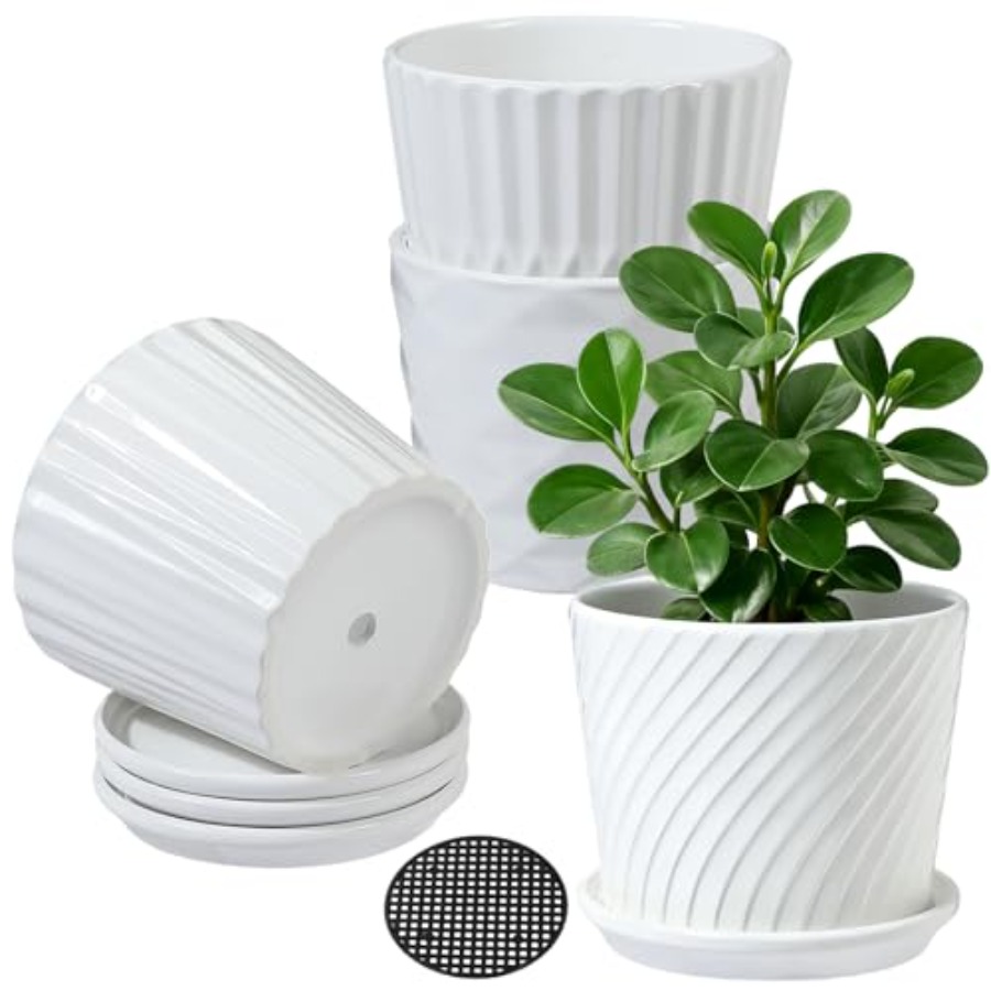Snake Plant Ceramic - 植木鉢 - 接続された受け皿付き円筒形セラミックプランター、多肉植物や小さな蛇状植物用の鉢、4個セット、ホワイト