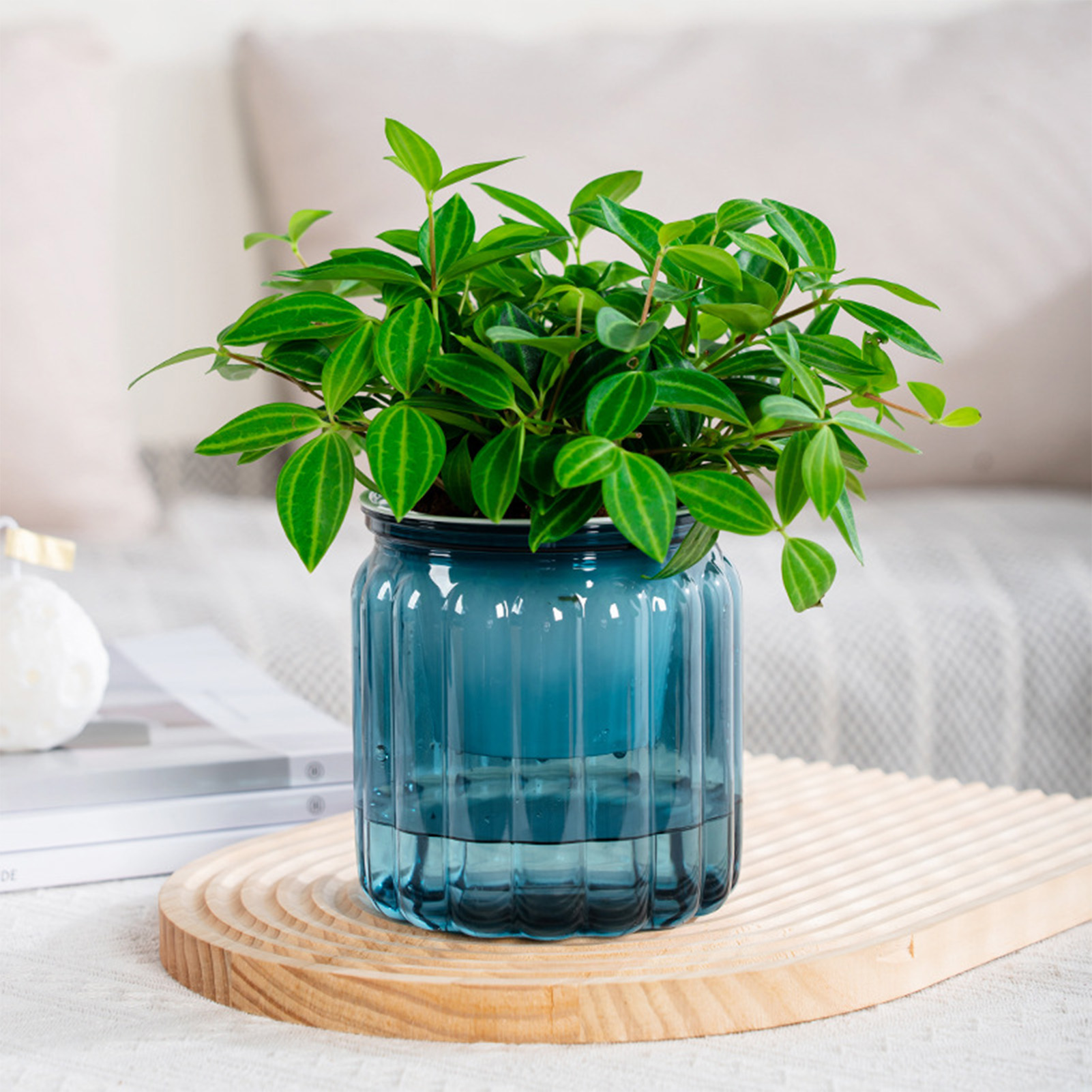 Snake Plant Ceramic - エレガントな自己散水植木鉢,繊細でモダンな家庭用植木鉢,庭愛好家への贈り物