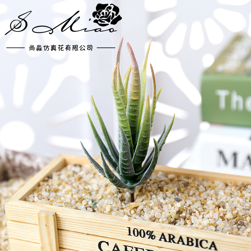 Succulent Arrangement Mini - ウスマート バンマルー ファイ 人工多肉植物 DIYフラワーアレンジメントアクセサリー デスクトップミニ盆栽フラワーヘッド