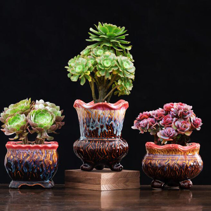 創造的な施釉植木鉢,多肉植物,盆栽ポット,緑の植物,通気性の - Snake Plant Ceramic のレビューと価格