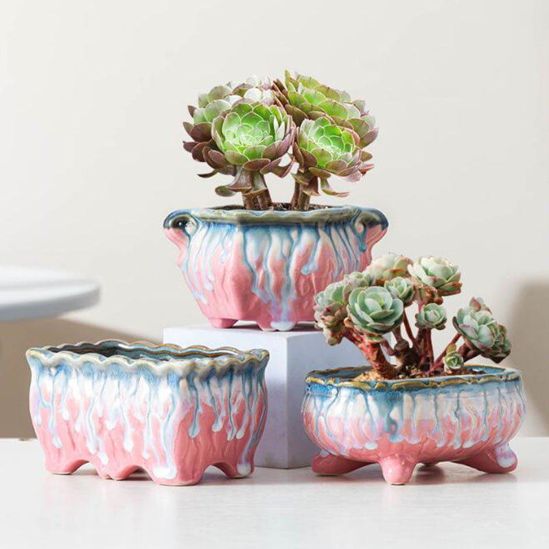 創造的な施釉植木鉢,多肉植物,盆栽ポット,緑の植物,通気性の - Snake Plant Ceramic のレビューと価格