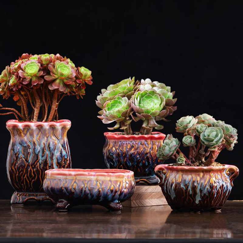 創造的な施釉植木鉢,多肉植物,盆栽ポット,緑の植物,通気性の - Snake Plant Ceramic のレビューと価格