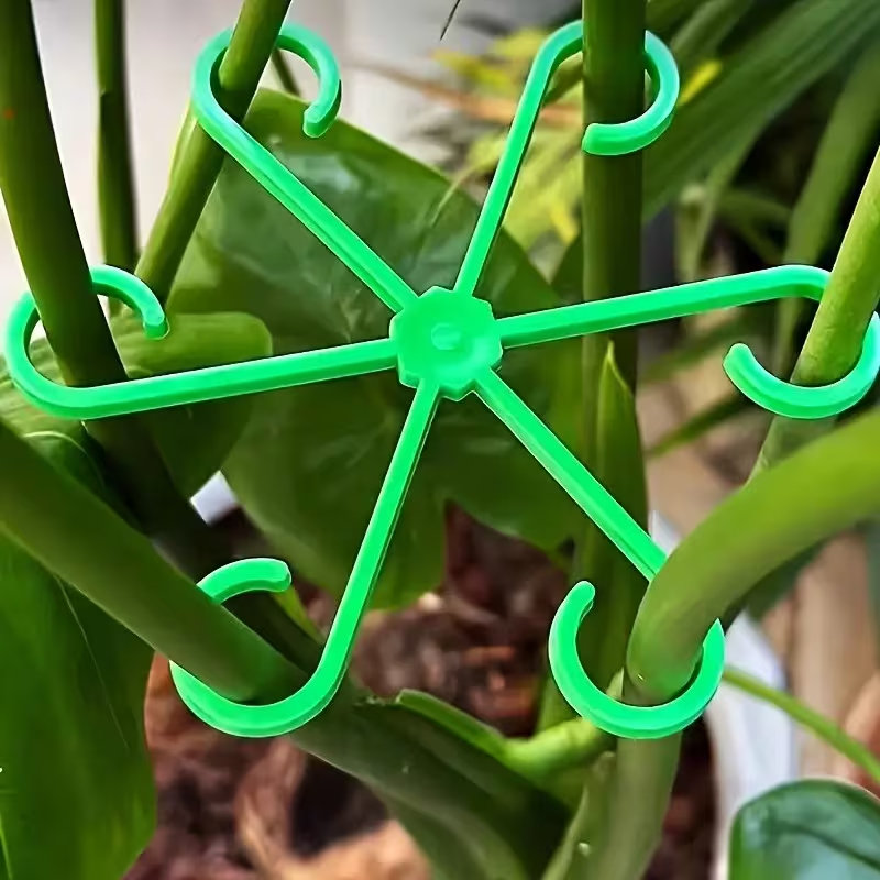 8ピース植物茎サポートセット（固定クリップ、クライミングサポ - Variegated Monstera Node のレビューと価格