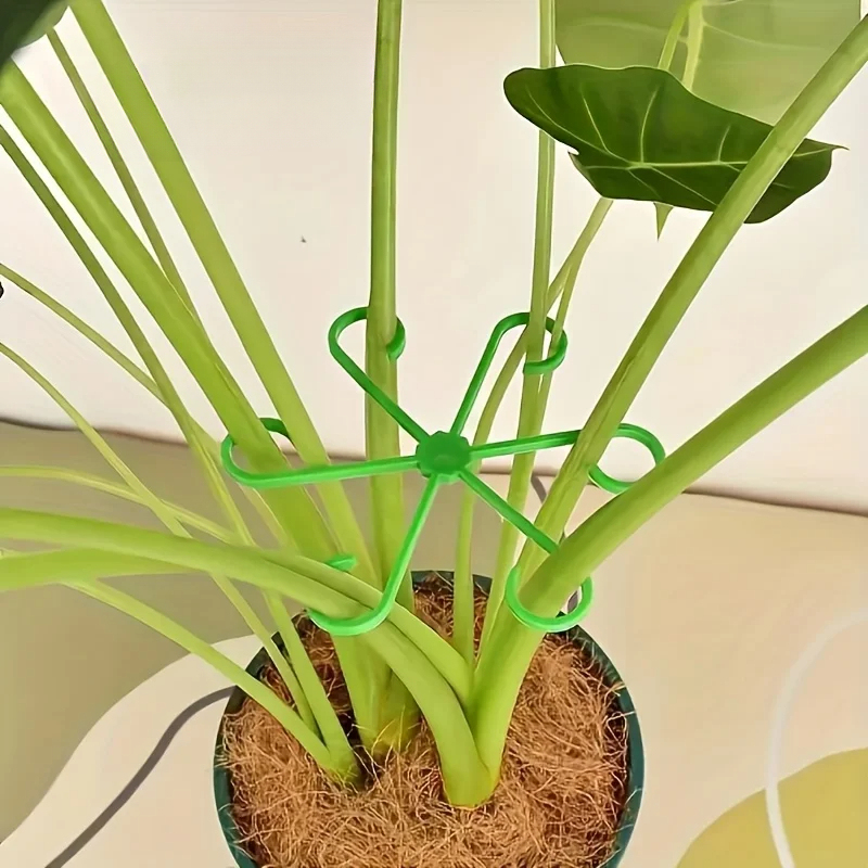 8ピース植物茎サポートセット（固定クリップ、クライミングサポ - Variegated Monstera Node のレビューと価格
