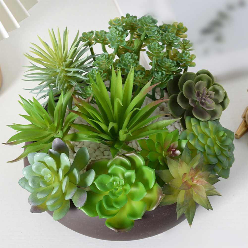 人工ミニ盆栽多肉植物アレンジメント、自宅やオフィスのデスク装 - Succulent Arrangement Mini のレビューと価格