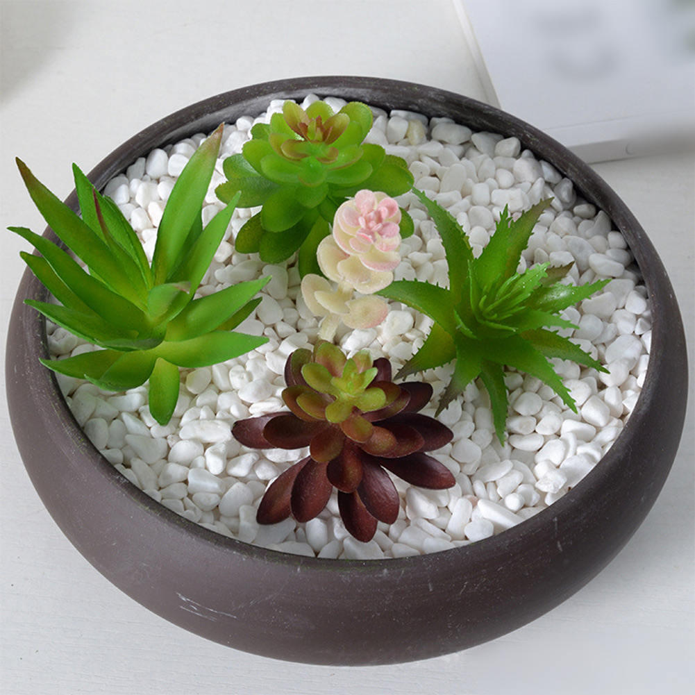 人工ミニ盆栽多肉植物アレンジメント、自宅やオフィスのデスク装 - Succulent Arrangement Mini のレビューと価格
