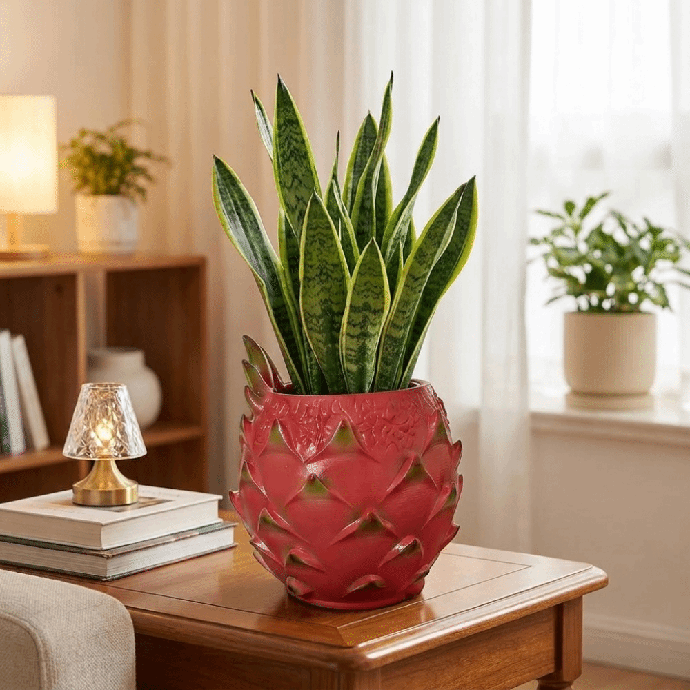 クリエイティブな樹脂製ドラゴンフルーツプランター、手作りフル - Snake Plant Ceramic のレビューと価格