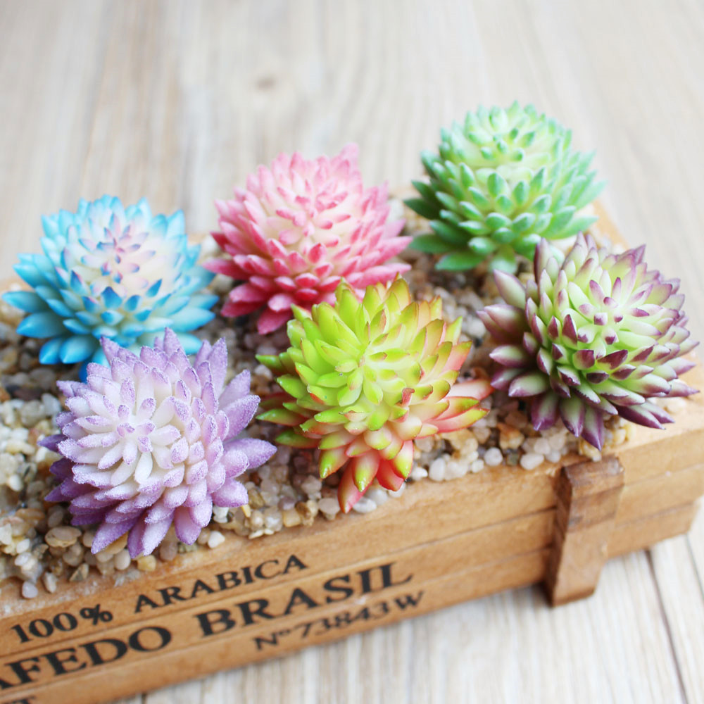人工多肉植物,ミニ偽花,蓮の風景,家の庭の装飾 - Succulent Arrangement Mini のレビューと価格