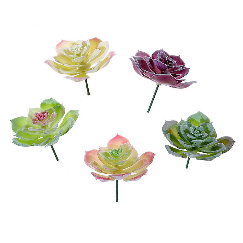 ウスマート小型水蓮人工多肉植物DIYフラワーアレンジメントア - Succulent Arrangement Mini のレビューと価格