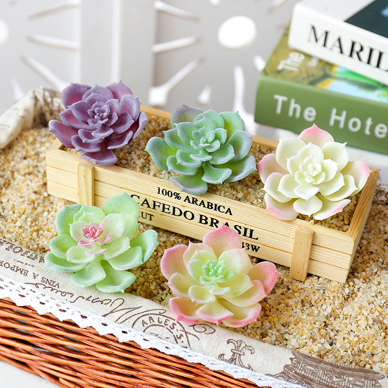 ウスマート小型水蓮人工多肉植物DIYフラワーアレンジメントア - Succulent Arrangement Mini のレビューと価格