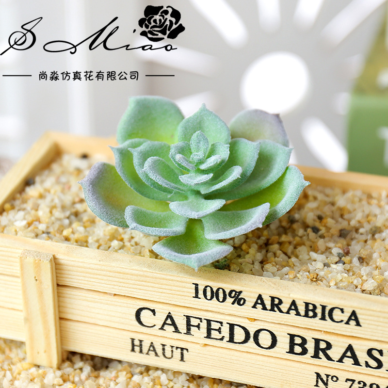 ウスマート小型水蓮人工多肉植物DIYフラワーアレンジメントア - Succulent Arrangement Mini のレビューと価格
