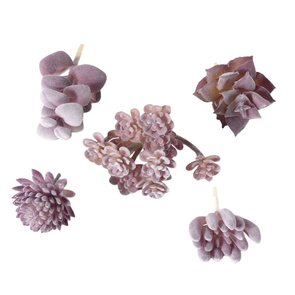 プラスチック製のミニ盆栽風多肉植物アレンジメント。室内、自宅 - Succulent Arrangement Mini のレビューと価格