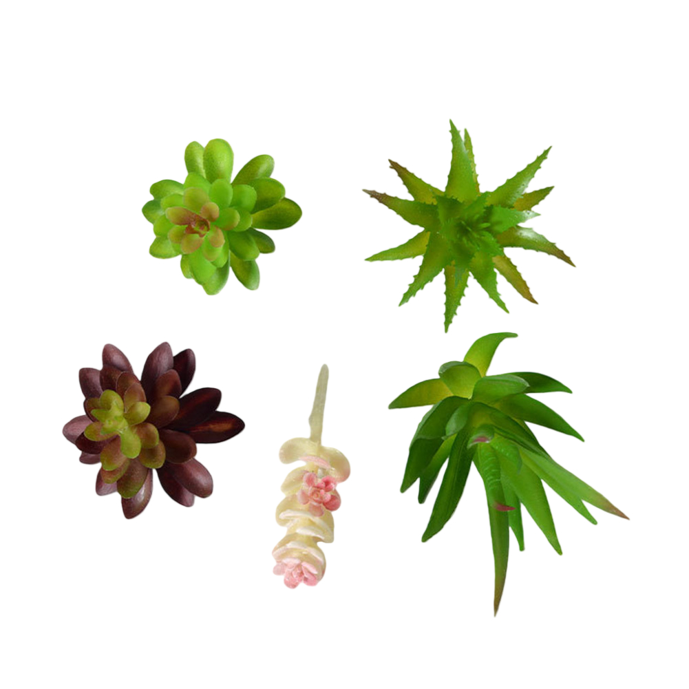 プラスチック製のミニ盆栽風多肉植物アレンジメント。室内、自宅 - Succulent Arrangement Mini のレビューと価格