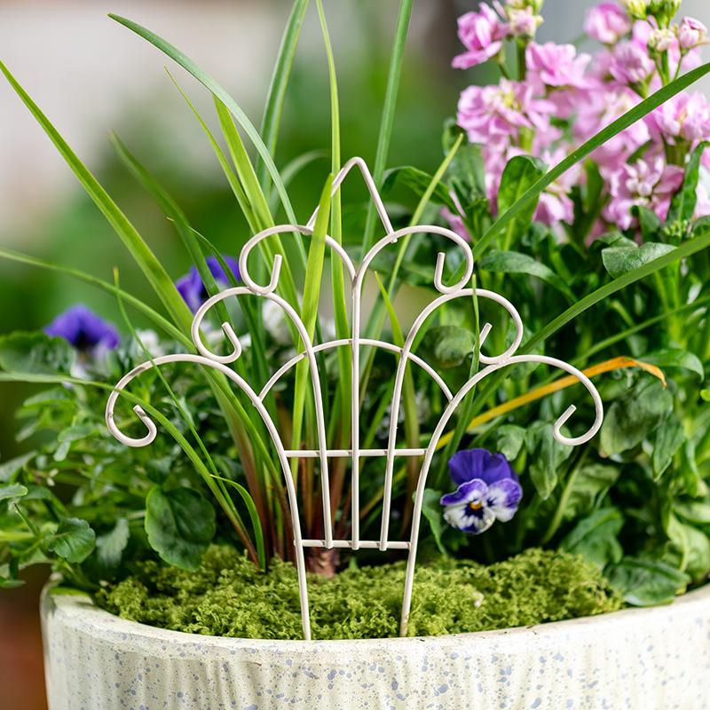 奇抜なミニ鉄製植木鉢フェンス、DIYマイクロ風景、妖精の庭、 - Succulent Arrangement Mini のレビューと価格