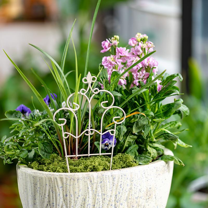 奇抜なミニ鉄製植木鉢フェンス、DIYマイクロ風景、妖精の庭、 - Succulent Arrangement Mini のレビューと価格