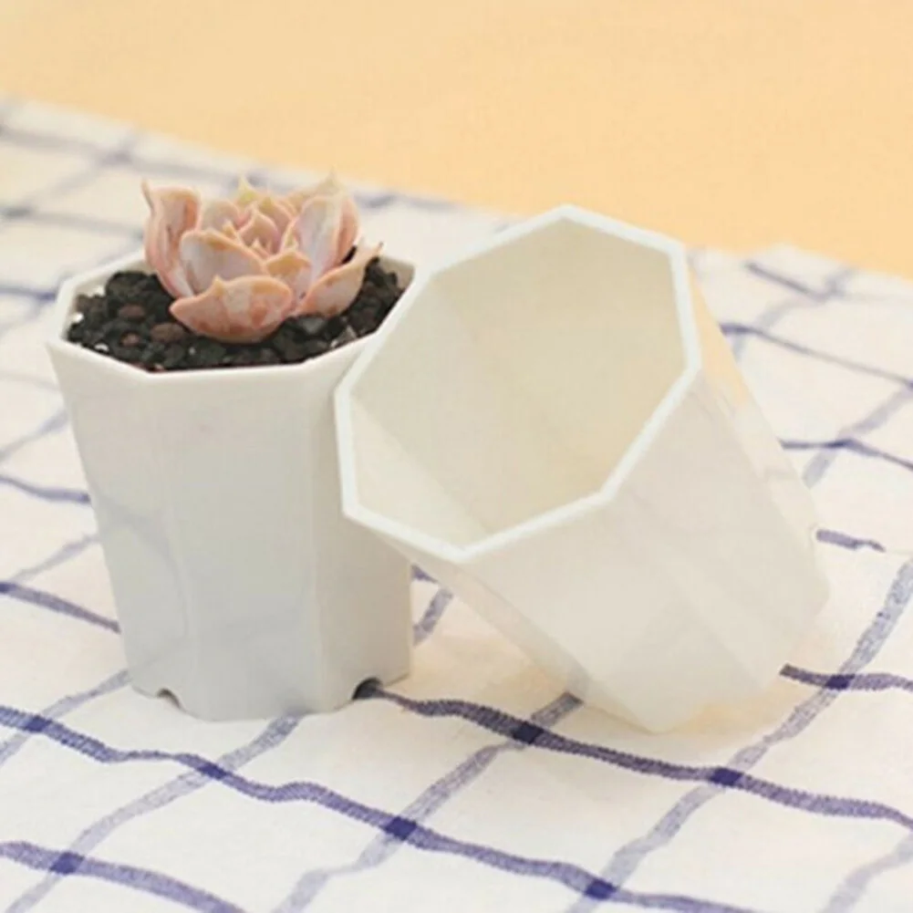 10個入り プラスチック製ミニフラワーポット 室内窓辺ディス - Succulent Arrangement Mini のレビューと価格