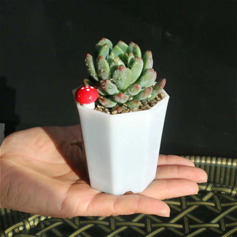 10個入り プラスチック製ミニフラワーポット 室内窓辺ディス - Succulent Arrangement Mini のレビューと価格