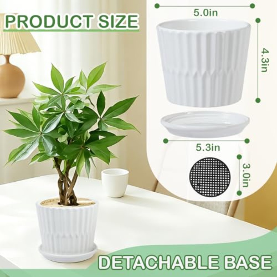 植木鉢 - 接続された受け皿付き円筒形セラミックプランター、 - Snake Plant Ceramic のレビューと価格