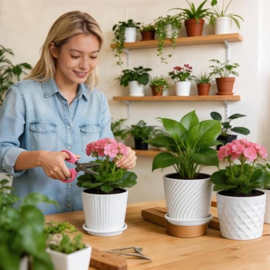 植木鉢 - 接続された受け皿付き円筒形セラミックプランター、 - Snake Plant Ceramic のレビューと価格