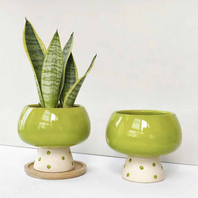 スタイリッシュなミニマリストセラミックフラワーポット、蜘蛛、 - Snake Plant Ceramic のレビューと価格