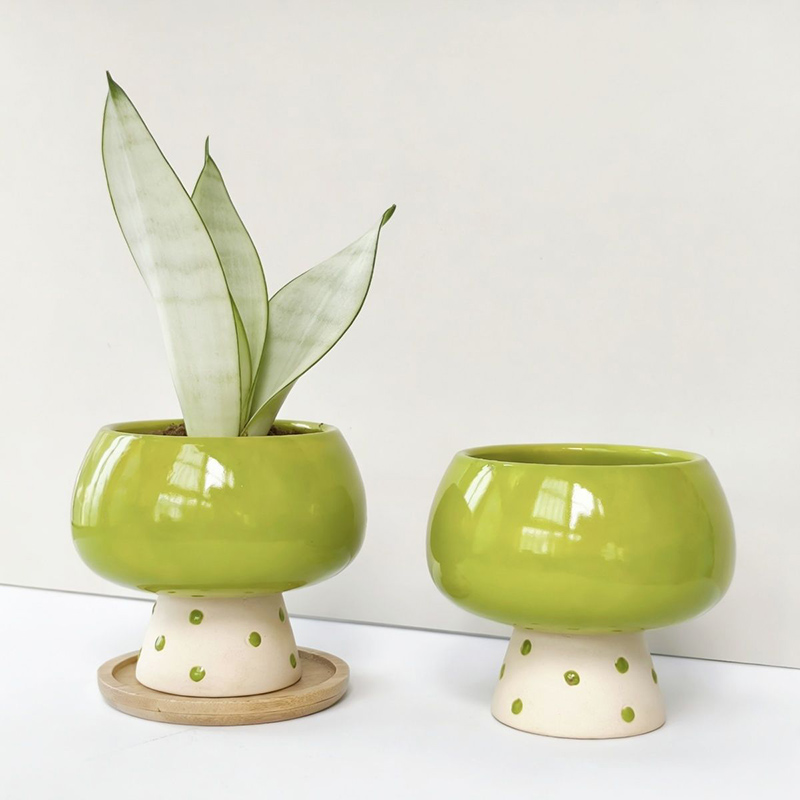スタイリッシュなミニマリストセラミックフラワーポット、蜘蛛、 - Snake Plant Ceramic のレビューと価格