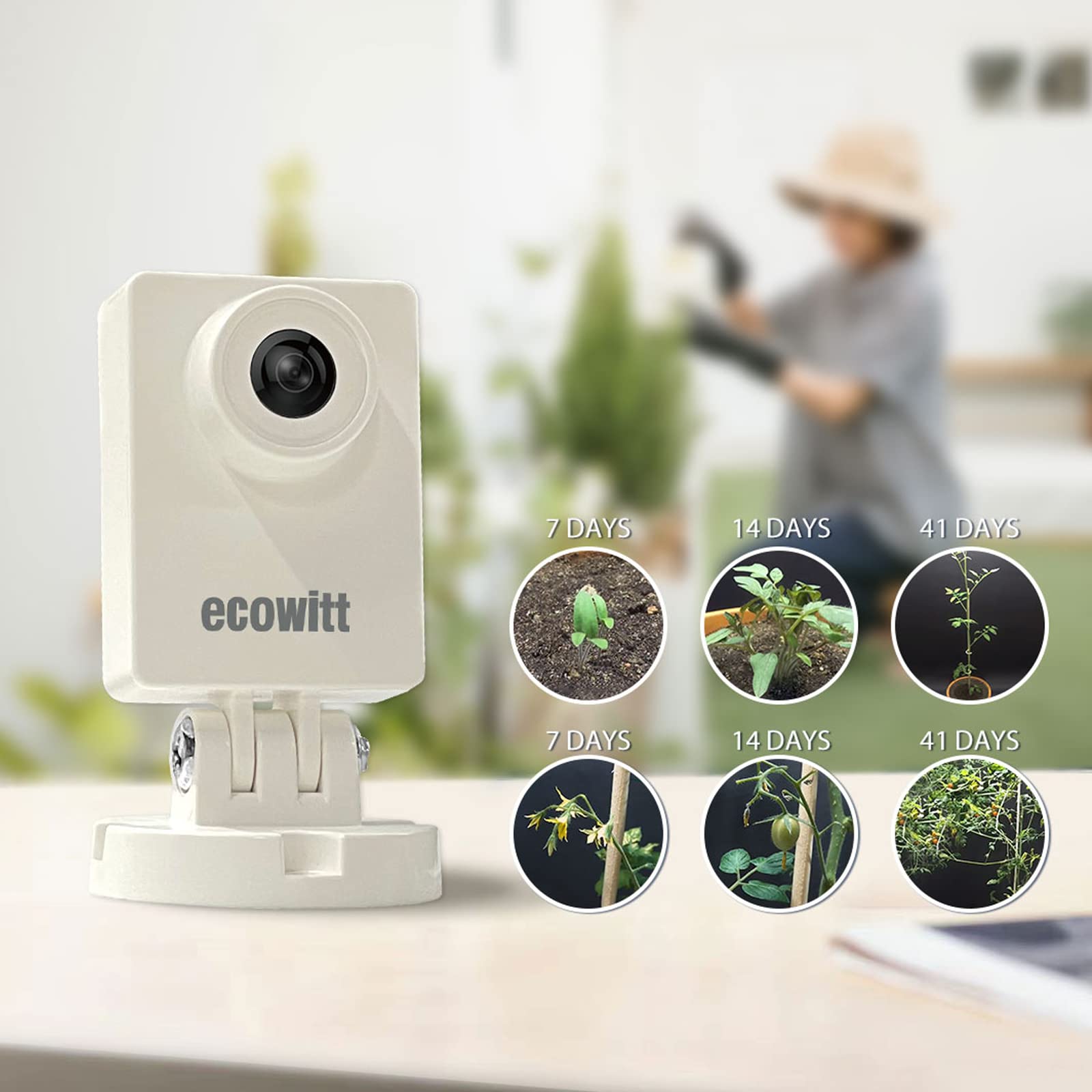 Ecoewitt hp10 WITCam屋外気象カメラ、監視 - Plant Parent App のレビューと価格