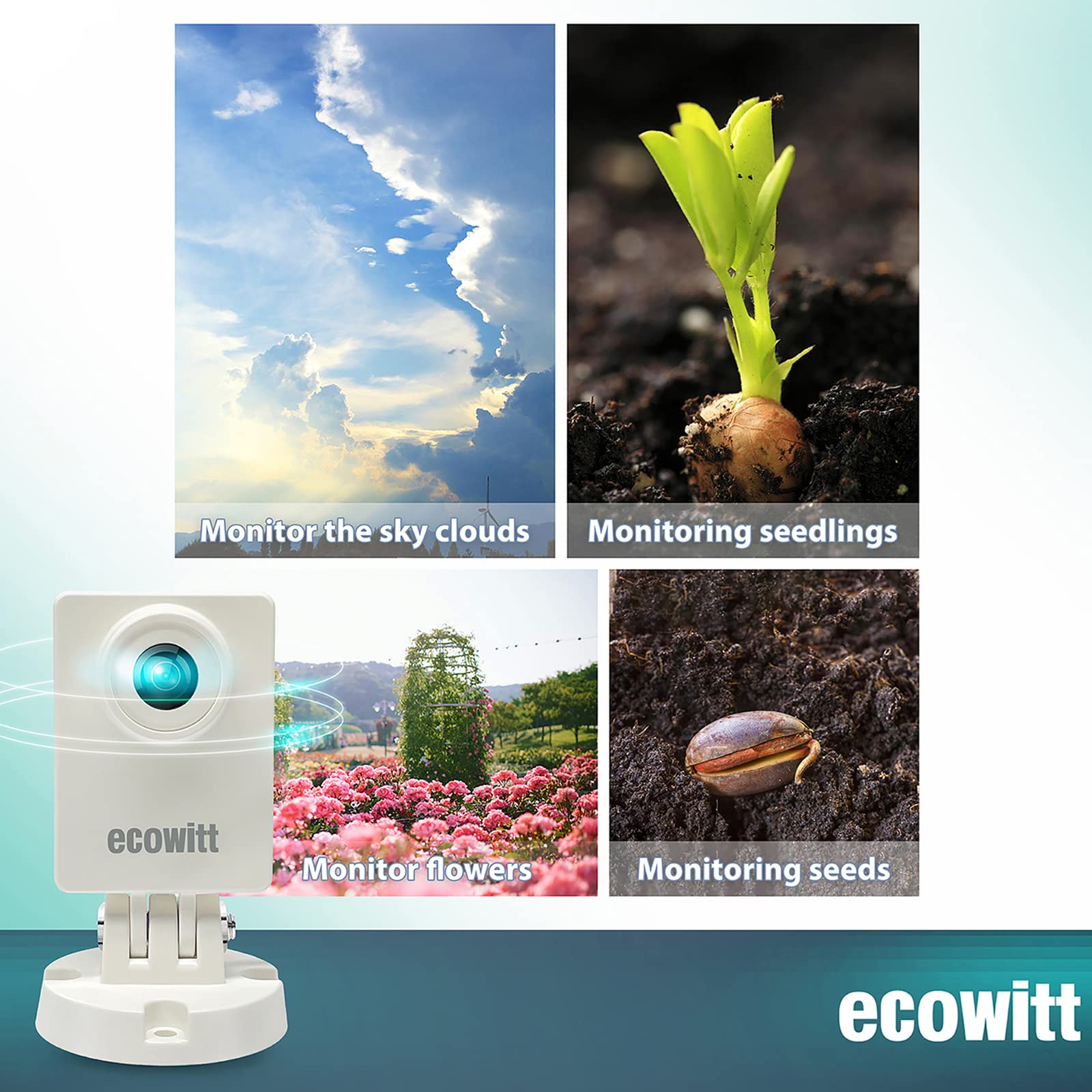 Ecoewitt hp10 WITCam屋外気象カメラ、監視 - Plant Parent App のレビューと価格