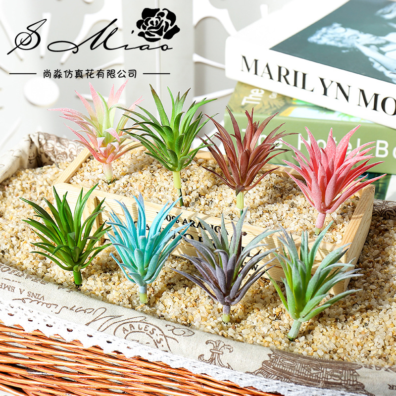 7.5x10cmミニリンジアオカオ人工多肉植物DIYフラワー - Succulent Arrangement Mini のレビューと価格
