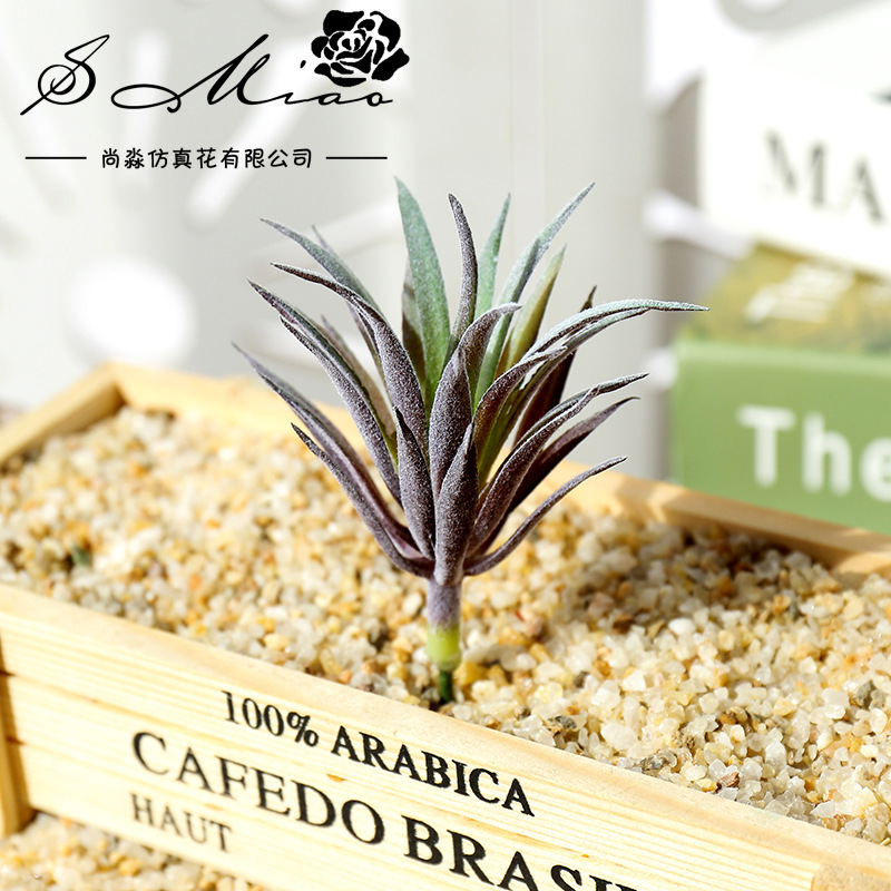7.5x10cmミニリンジアオカオ人工多肉植物DIYフラワー - Succulent Arrangement Mini のレビューと価格