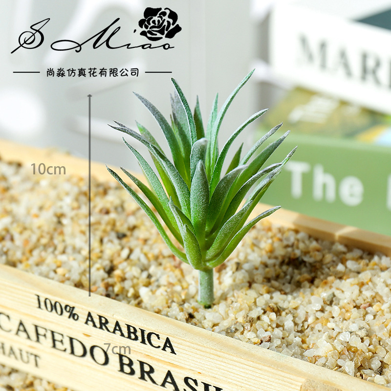 7.5x10cmミニリンジアオカオ人工多肉植物DIYフラワー - Succulent Arrangement Mini のレビューと価格