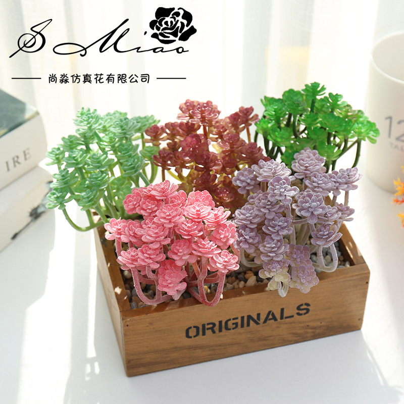 Wusmart-大きな人工多肉植物、xian、ren、ke、 - Succulent Arrangement Mini のレビューと価格