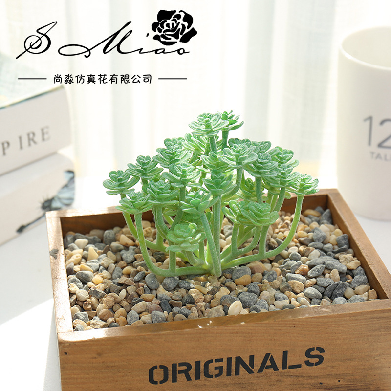 Wusmart-大きな人工多肉植物、xian、ren、ke、 - Succulent Arrangement Mini のレビューと価格