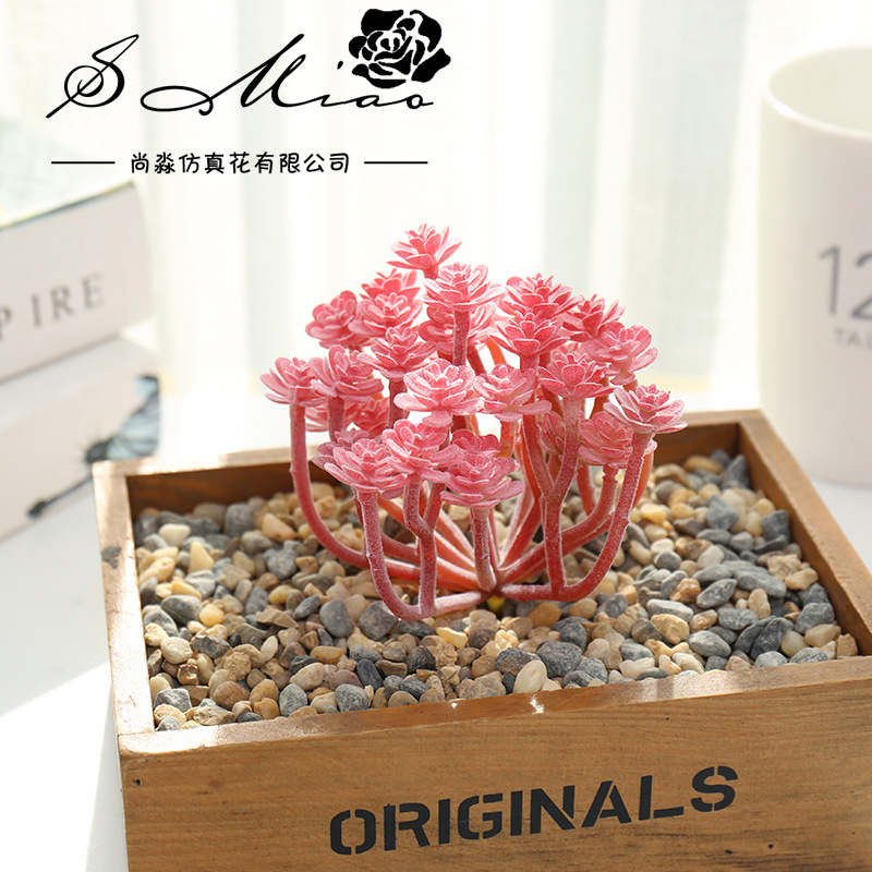 Wusmart-大きな人工多肉植物、xian、ren、ke、 - Succulent Arrangement Mini のレビューと価格