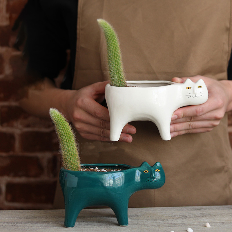 かわいい猫セラミックガーデンフラワーポット動物画像サボテン植 - Snake Plant Ceramic のレビューと価格