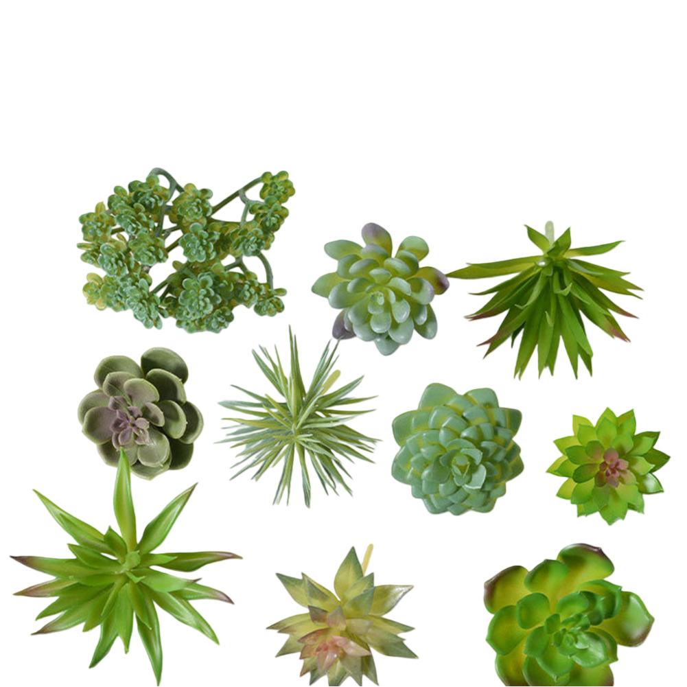 ミニ盆栽人工多肉植物アレンジメント、家庭やオフィスのデスクデ - Succulent Arrangement Mini のレビューと価格