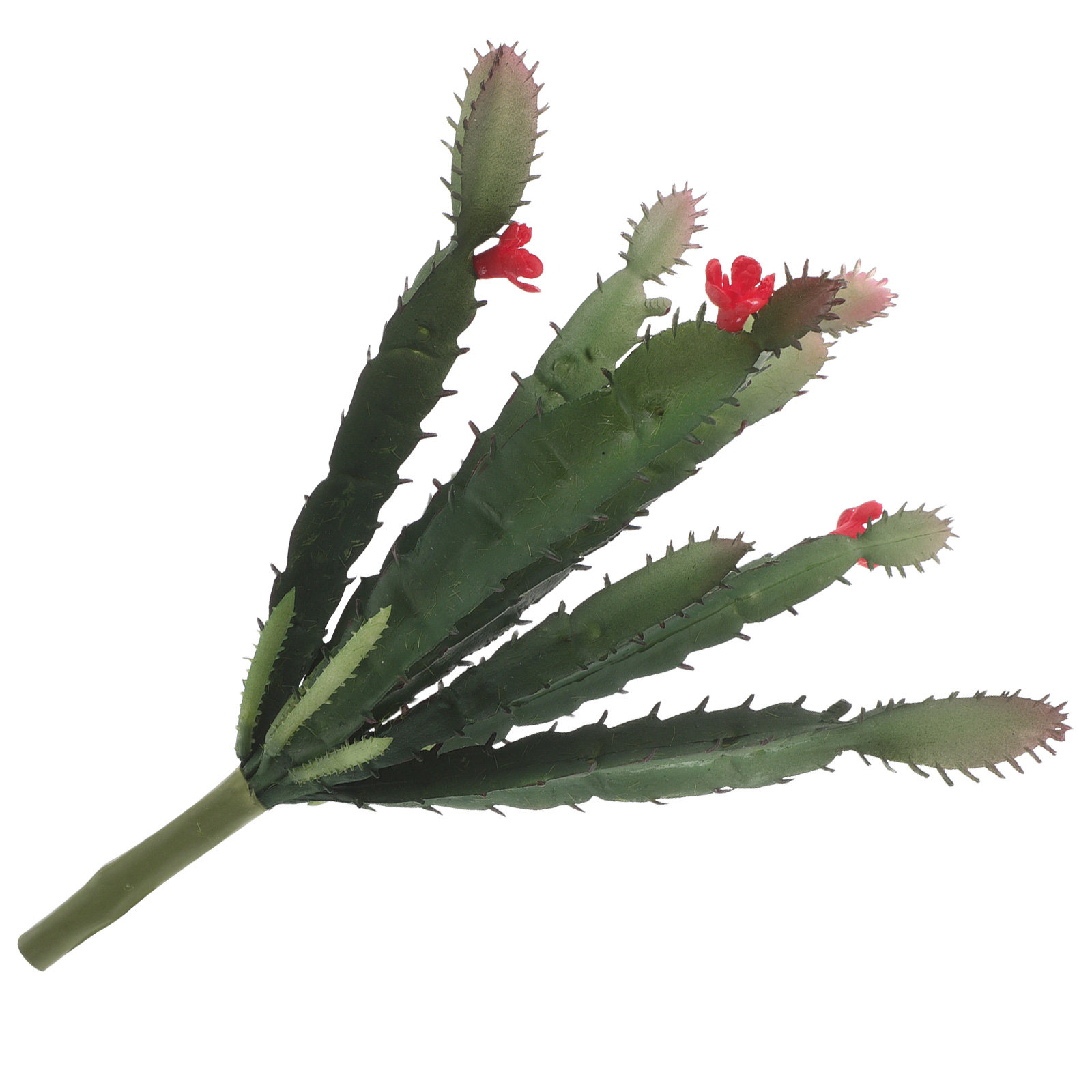 造花多肉植物アレンジメントミニ鉢植えリアルなサボテン植物、オ - Succulent Arrangement Mini のレビューと価格