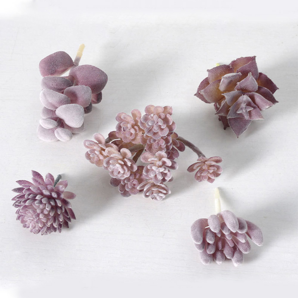 魅力的なミニ盆栽多肉植物アレンジメント、ホームオフィス装飾用 - Succulent Arrangement Mini のレビューと価格