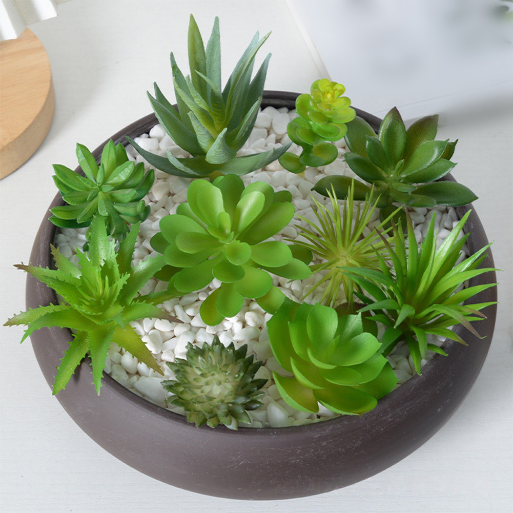 魅力的なミニ盆栽多肉植物アレンジメント、ホームオフィス装飾用 - Succulent Arrangement Mini のレビューと価格