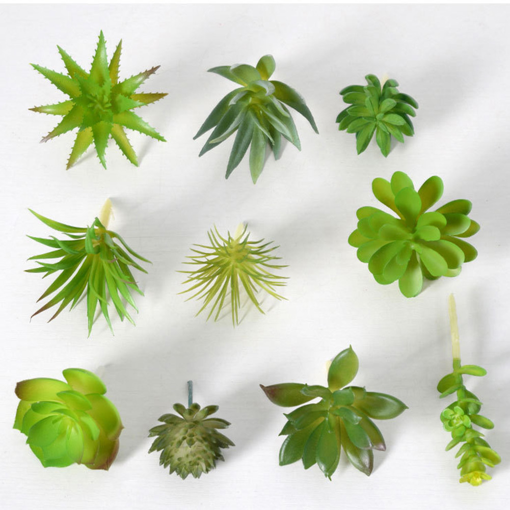 魅力的なミニ盆栽多肉植物アレンジメント、ホームオフィス装飾用 - Succulent Arrangement Mini のレビューと価格