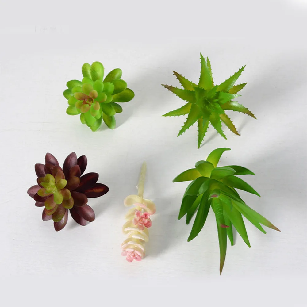 魅力的なミニ盆栽多肉植物アレンジメント、自宅やオフィスの装飾 - Succulent Arrangement Mini のレビューと価格