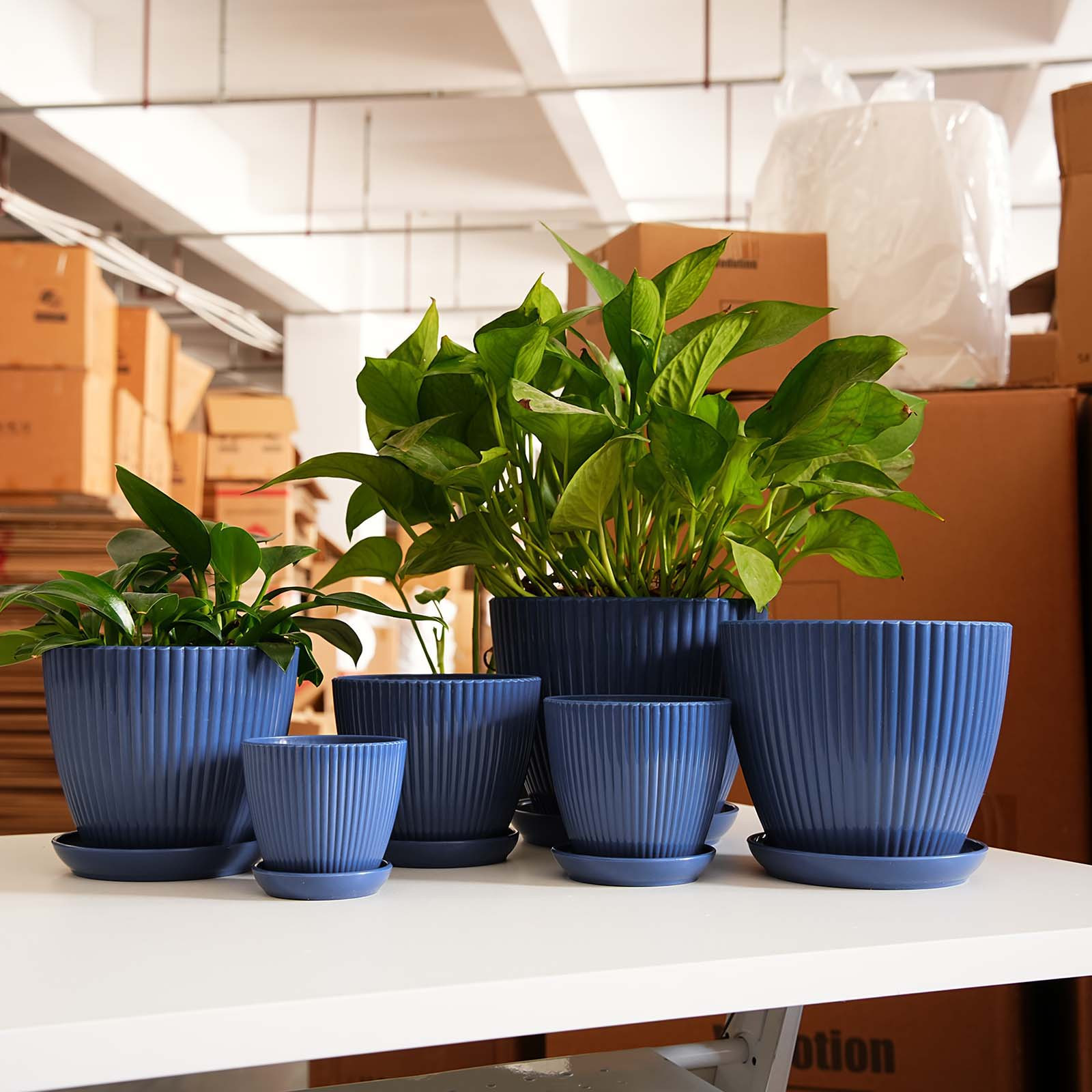 縦縞模様の植木鉢肥厚プラスチック植木鉢排水受け皿小さな庭用プ - Snake Plant Ceramic のレビューと価格