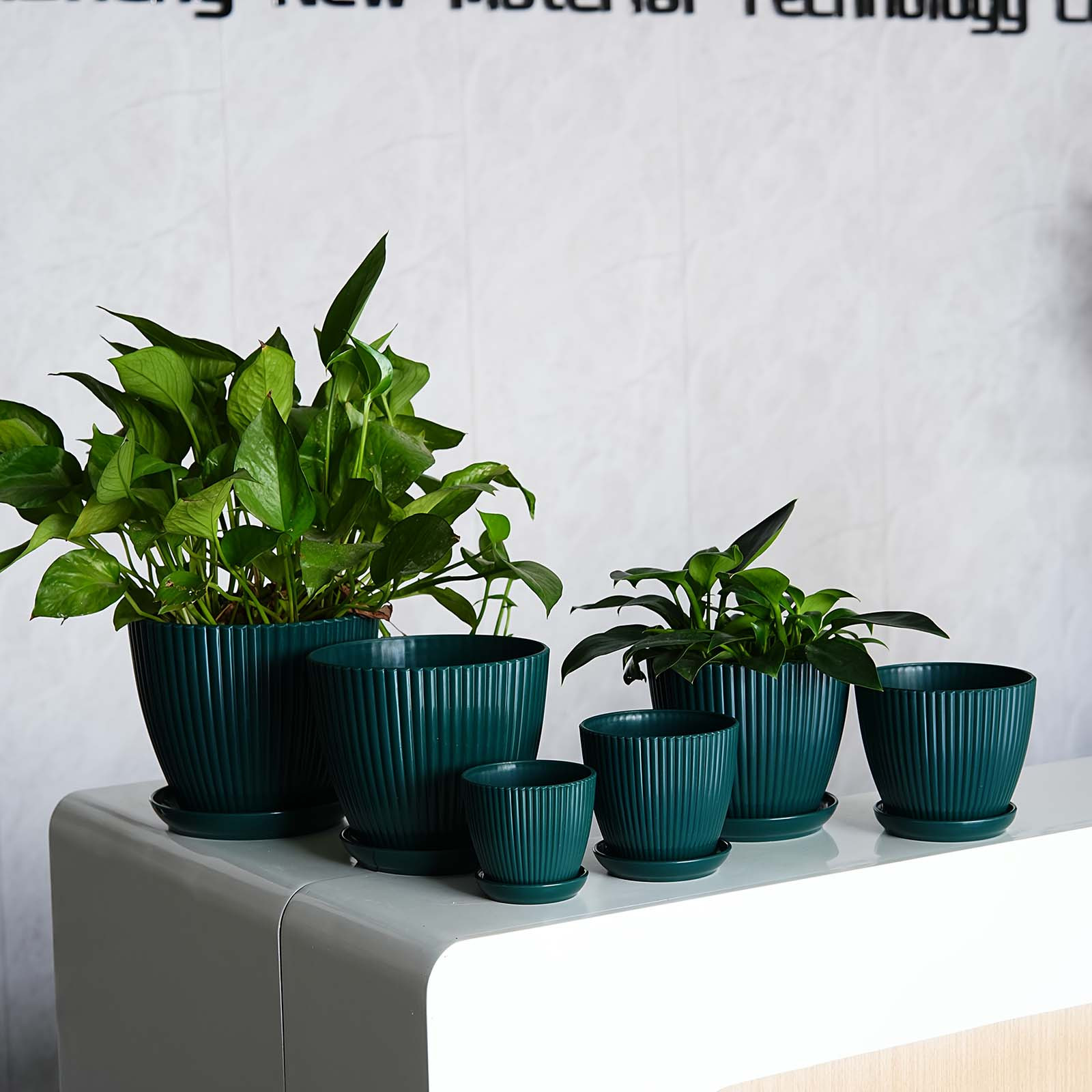 縦縞模様の植木鉢肥厚プラスチック植木鉢排水受け皿小さな庭用プ - Snake Plant Ceramic のレビューと価格