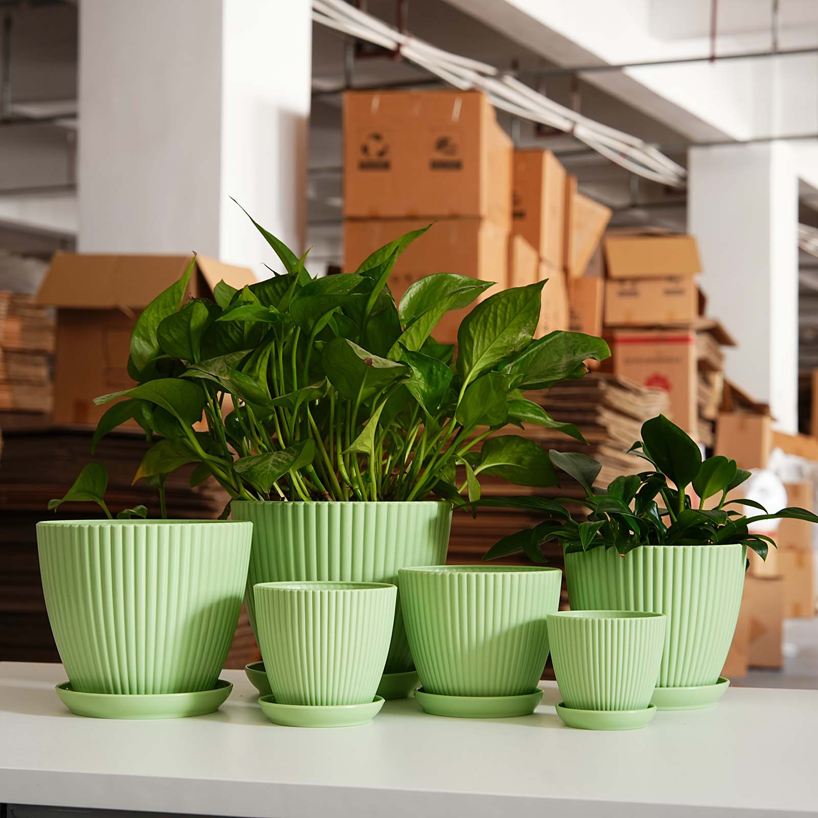縦縞模様の植木鉢肥厚プラスチック植木鉢排水受け皿小さな庭用プ - Snake Plant Ceramic のレビューと価格