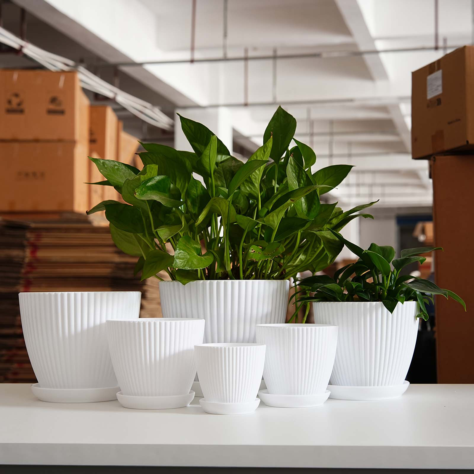 縦縞模様の植木鉢肥厚プラスチック植木鉢排水受け皿小さな庭用プ - Snake Plant Ceramic のレビューと価格
