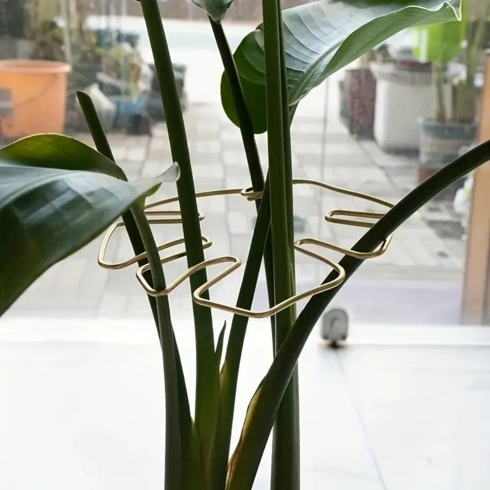 1個入り大型プラントスタンド、屋内植物用クリップ、鉄製フック - Variegated Monstera Node のレビューと価格