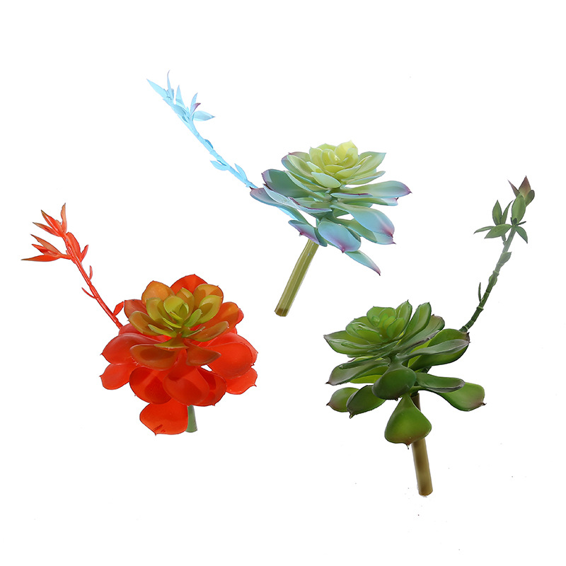Wusmart-zhong li lian大きな人工多肉植物 - Succulent Arrangement Mini のレビューと価格