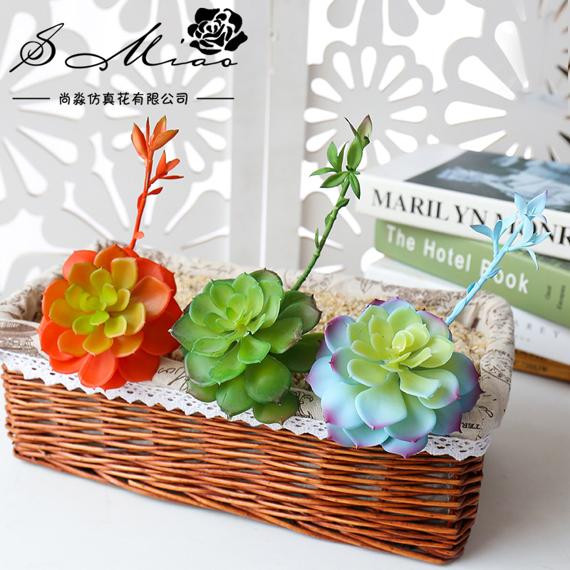 Wusmart-zhong li lian大きな人工多肉植物 - Succulent Arrangement Mini のレビューと価格
