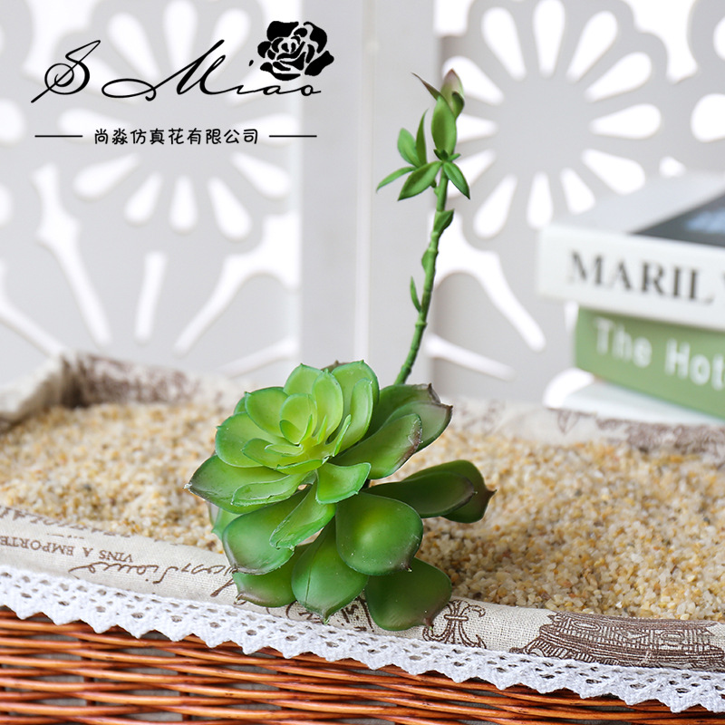 Wusmart-zhong li lian大きな人工多肉植物 - Succulent Arrangement Mini のレビューと価格