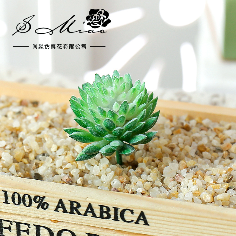 Wusmart-人工多肉植物,ミニ盆栽フラワーヘッド,DIY - Succulent Arrangement Mini のレビューと価格
